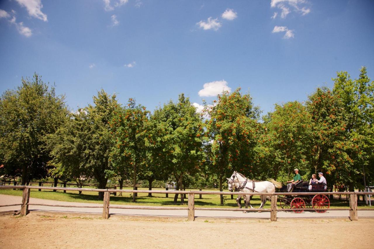 Schoenburg Naturhotel Etzdorfer Hof מראה חיצוני תמונה